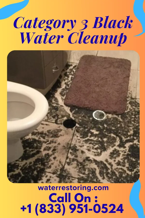 Category 3 Black Water Cleanup in Chandler, OK